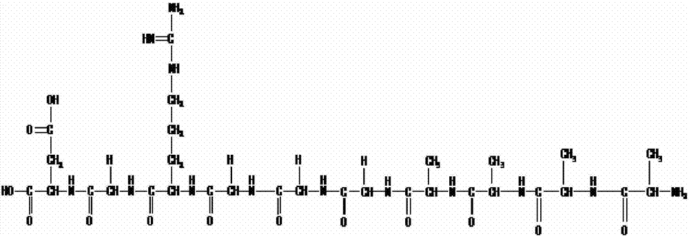 Amphiphilic polypeptide DGRGGGAAAA and preparation method thereof, and novel anticancer drug delivery system and preparation method thereof