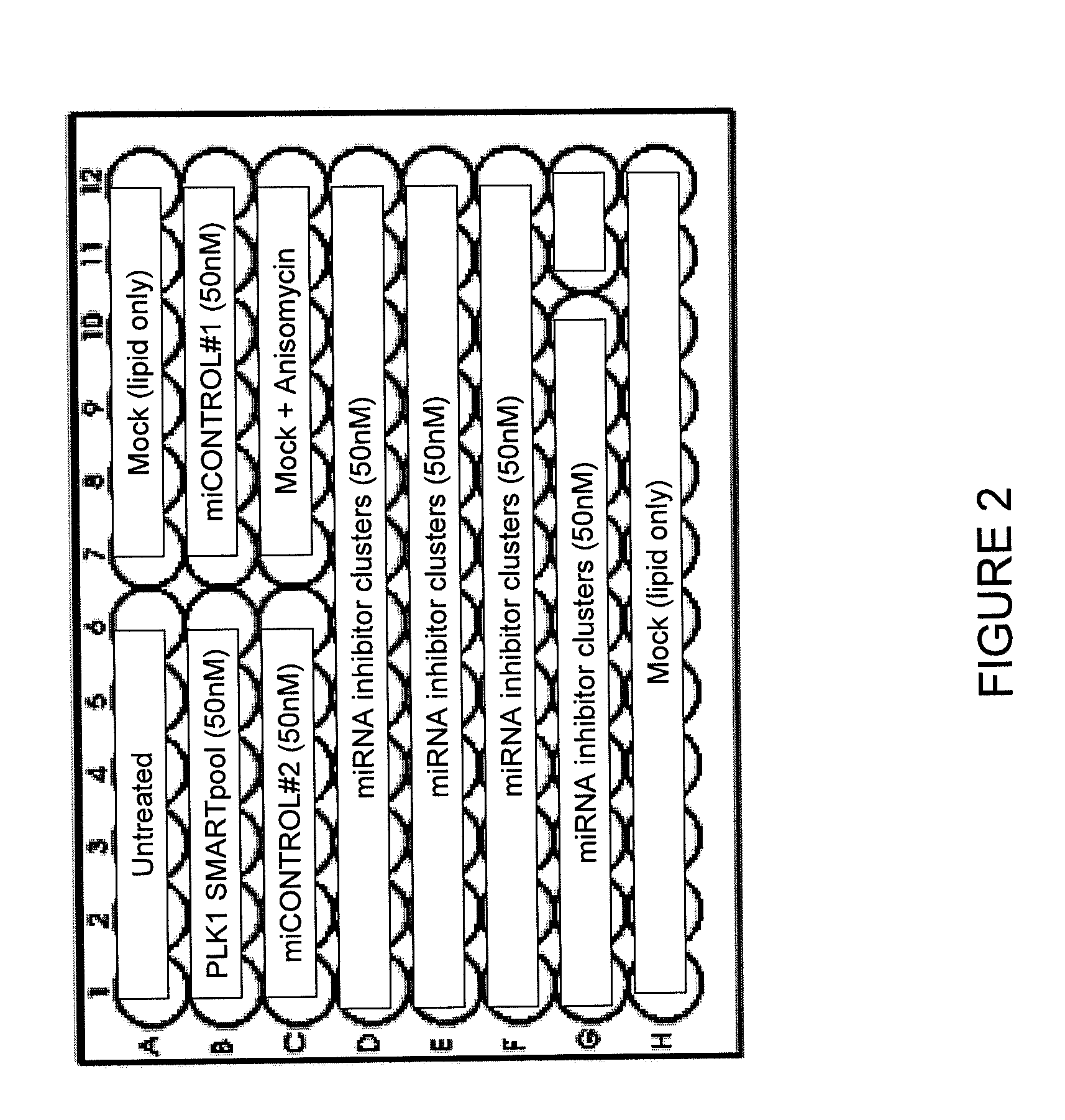 Screening of micro-rna cluster inhibitor pools