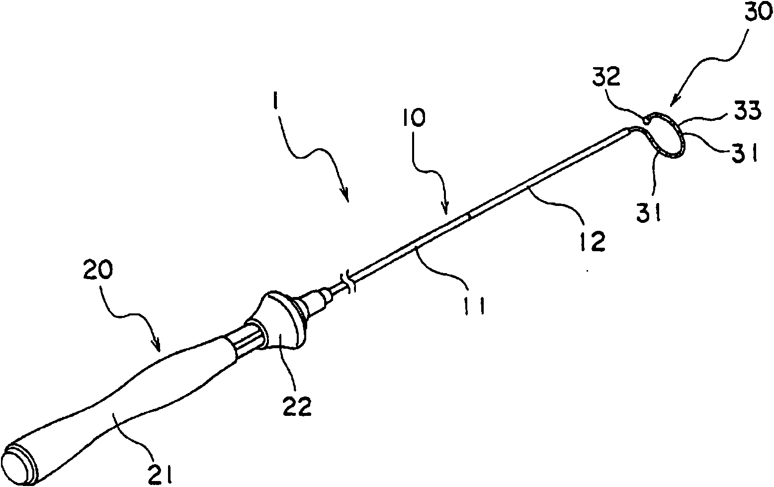 Electrode catheter