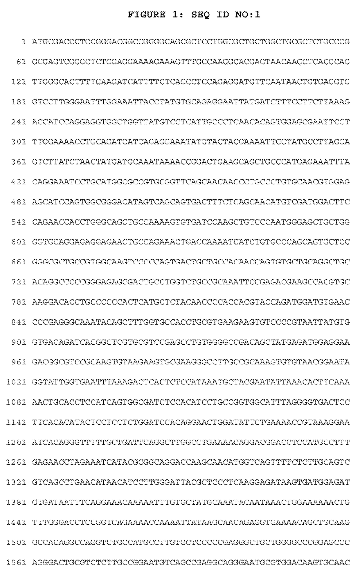 Novel mutation in the epidermal growth factor receptor kinase domain