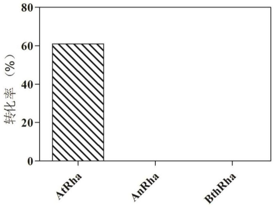 A kind of glucosidase composition and the method for preparing icarigenin by enzymatic method