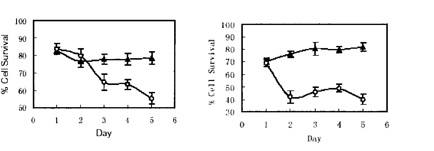 Novel peptide-link base-conjugate and solid phase synthesis method thereof