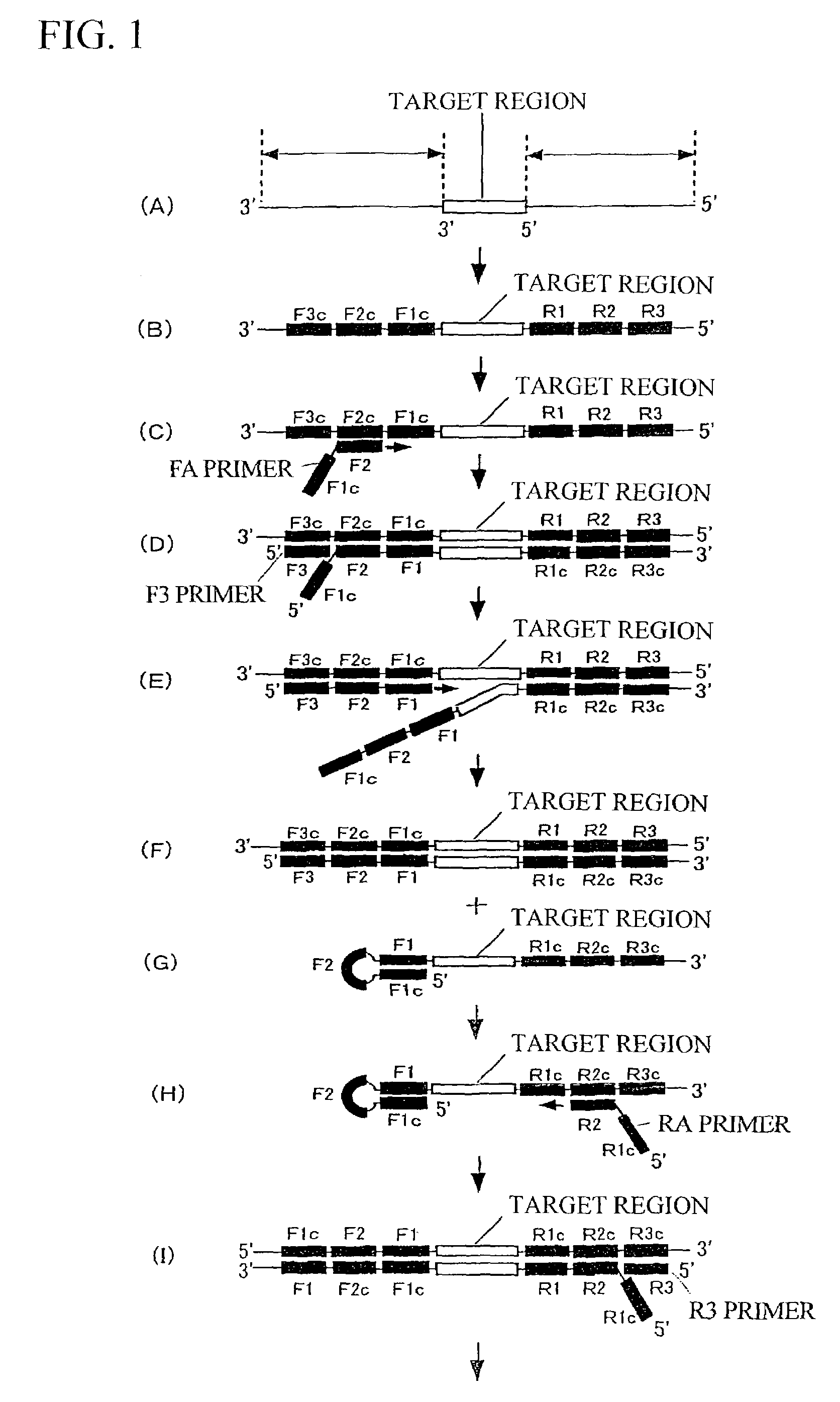 Method for detecting product of nucleic acid synthesizing reaction