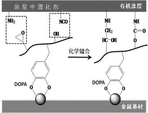 Preparation method of multifunctional group bionic mussel adhesive protein polymer