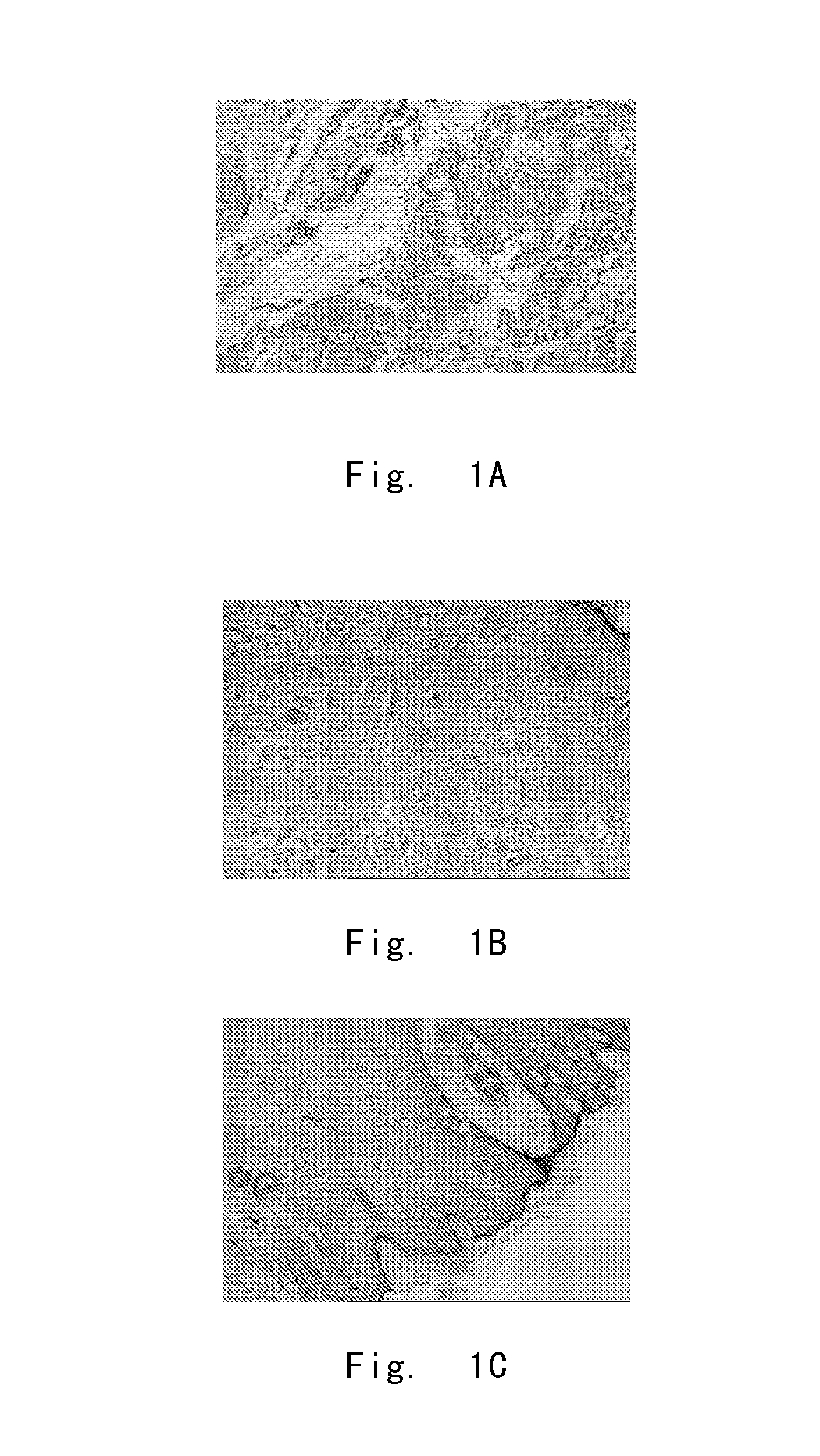 A use of hypertonic solution composition in manufacturing medicaments for promoting wound healing