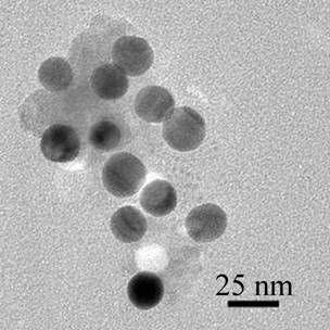 Method for preparing metal silver nanostructure in water solution