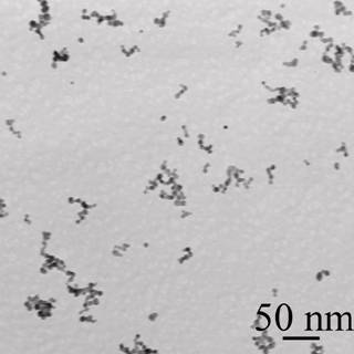 Method for preparing metal silver nanostructure in water solution