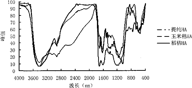 Hydrolysis process for preparing humic acid (HA) from corn straw