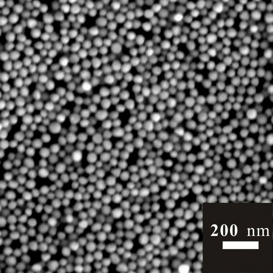 Surface-enhanced Raman substrate with flexibility and light transmission and its preparation method