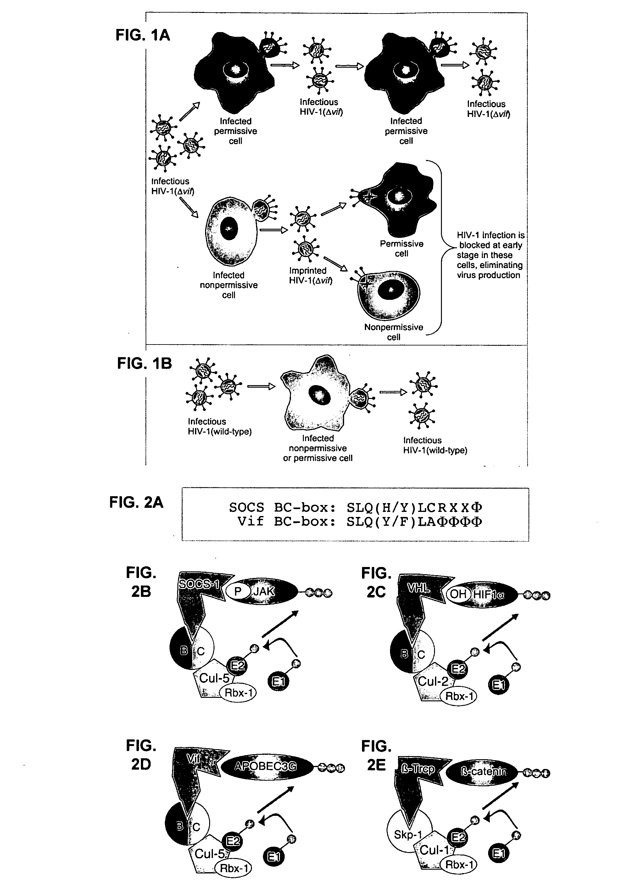 Methods for identifying inhibitors