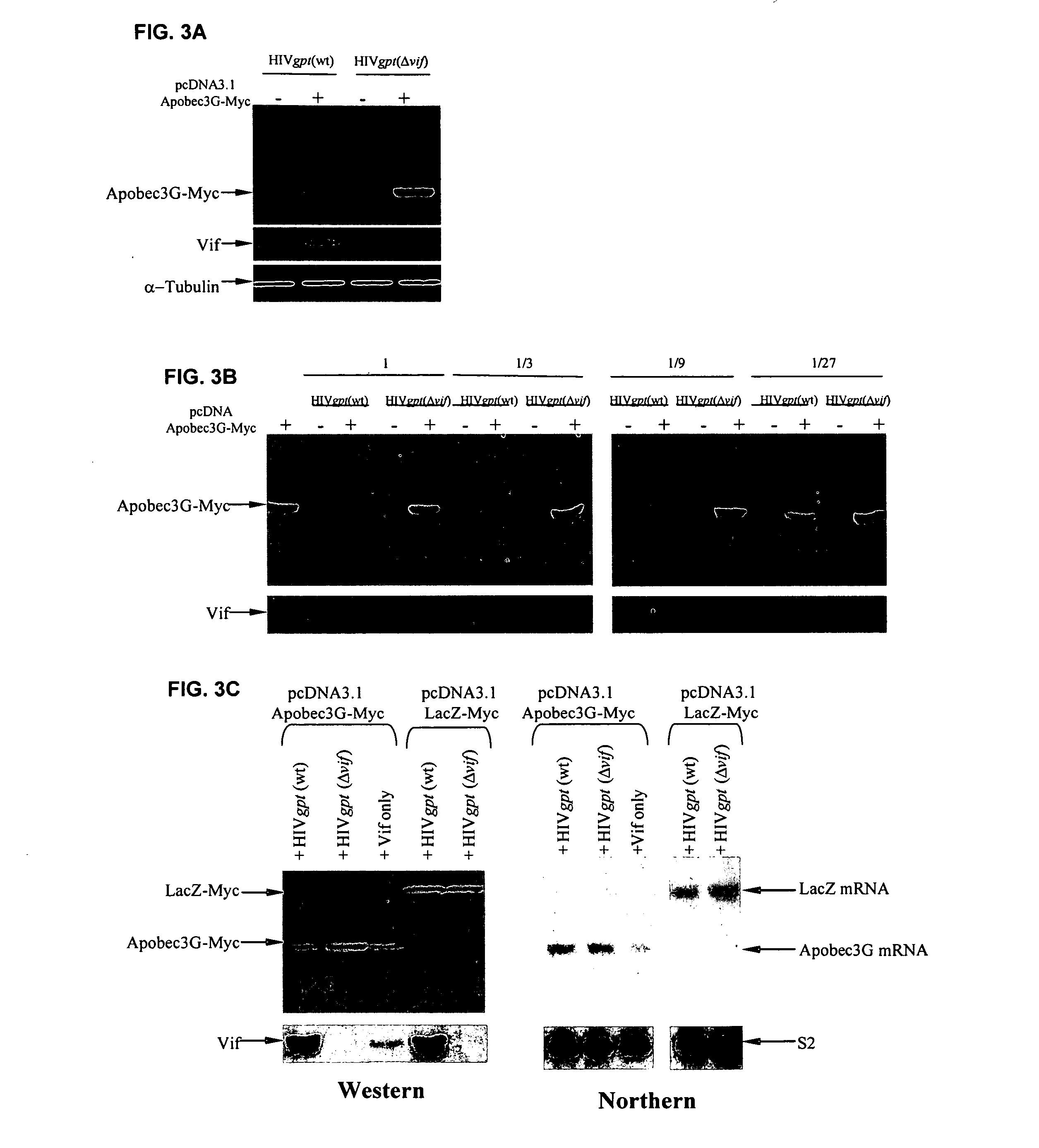 Methods for identifying inhibitors