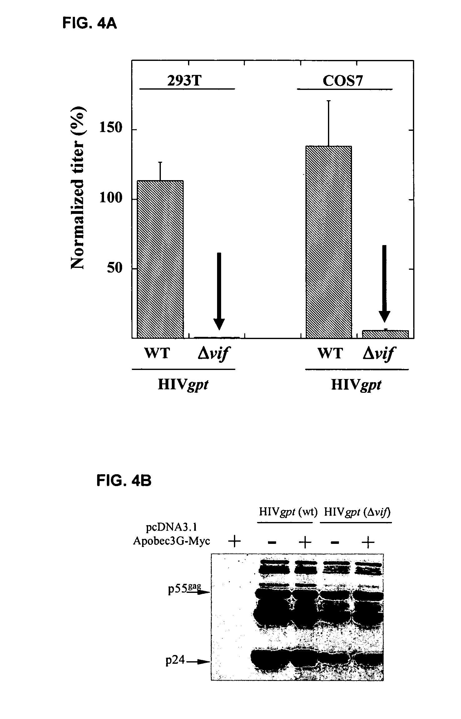 Methods for identifying inhibitors