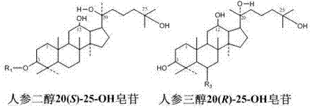 Method for preparing C25-hydroxyl aglucon and rare saponin of radix ginseng through metal ion catalysis