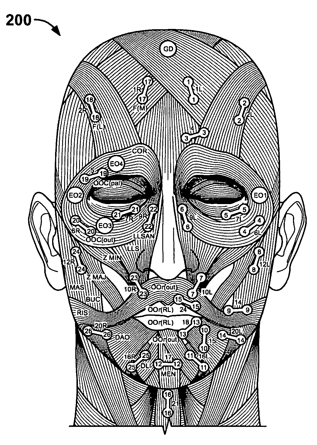 System and method for tracking facial muscle and eye motion for computer graphics animation