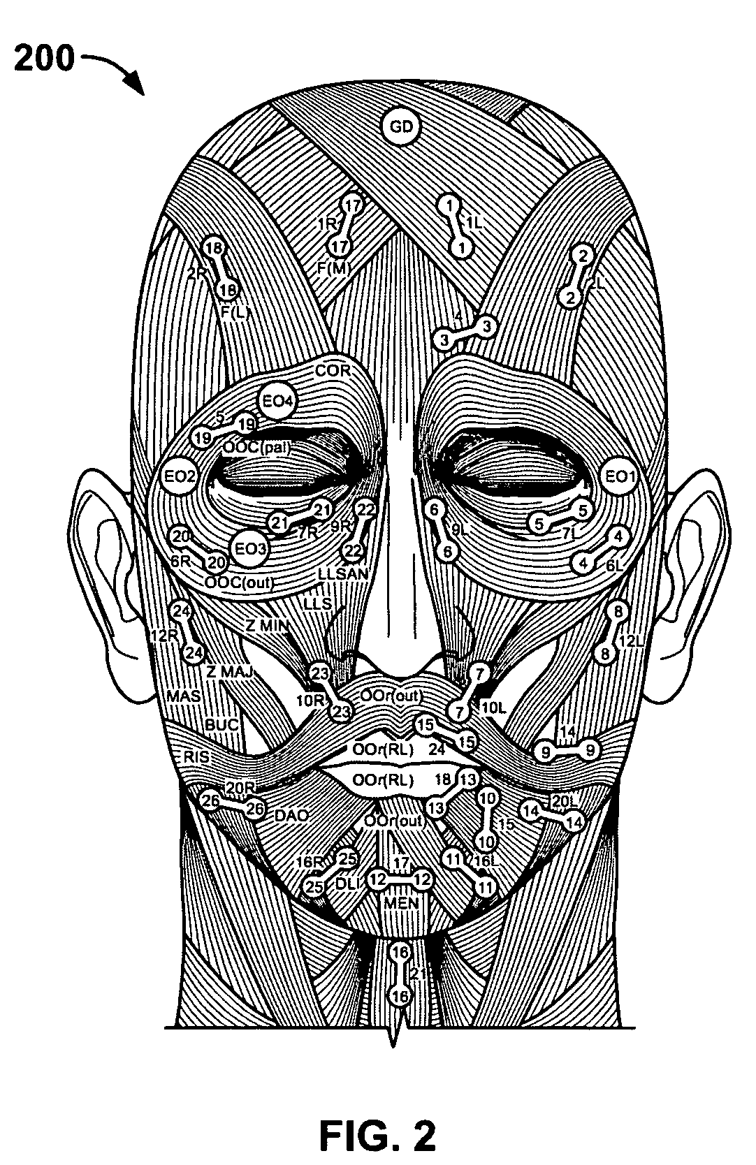 System and method for tracking facial muscle and eye motion for computer graphics animation