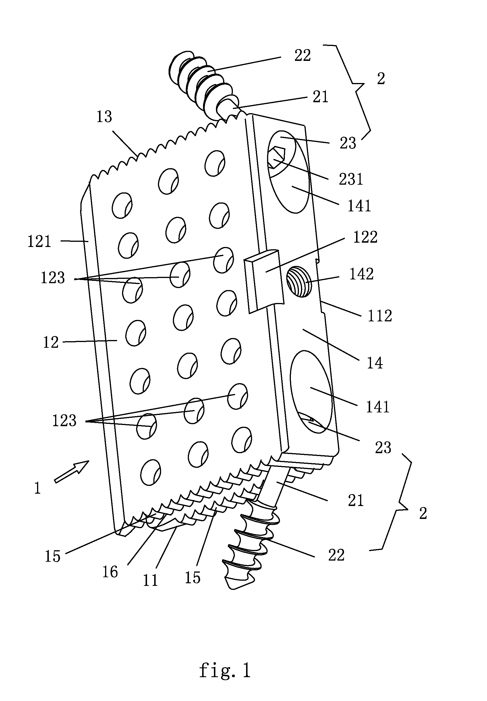 Interbody fusion device