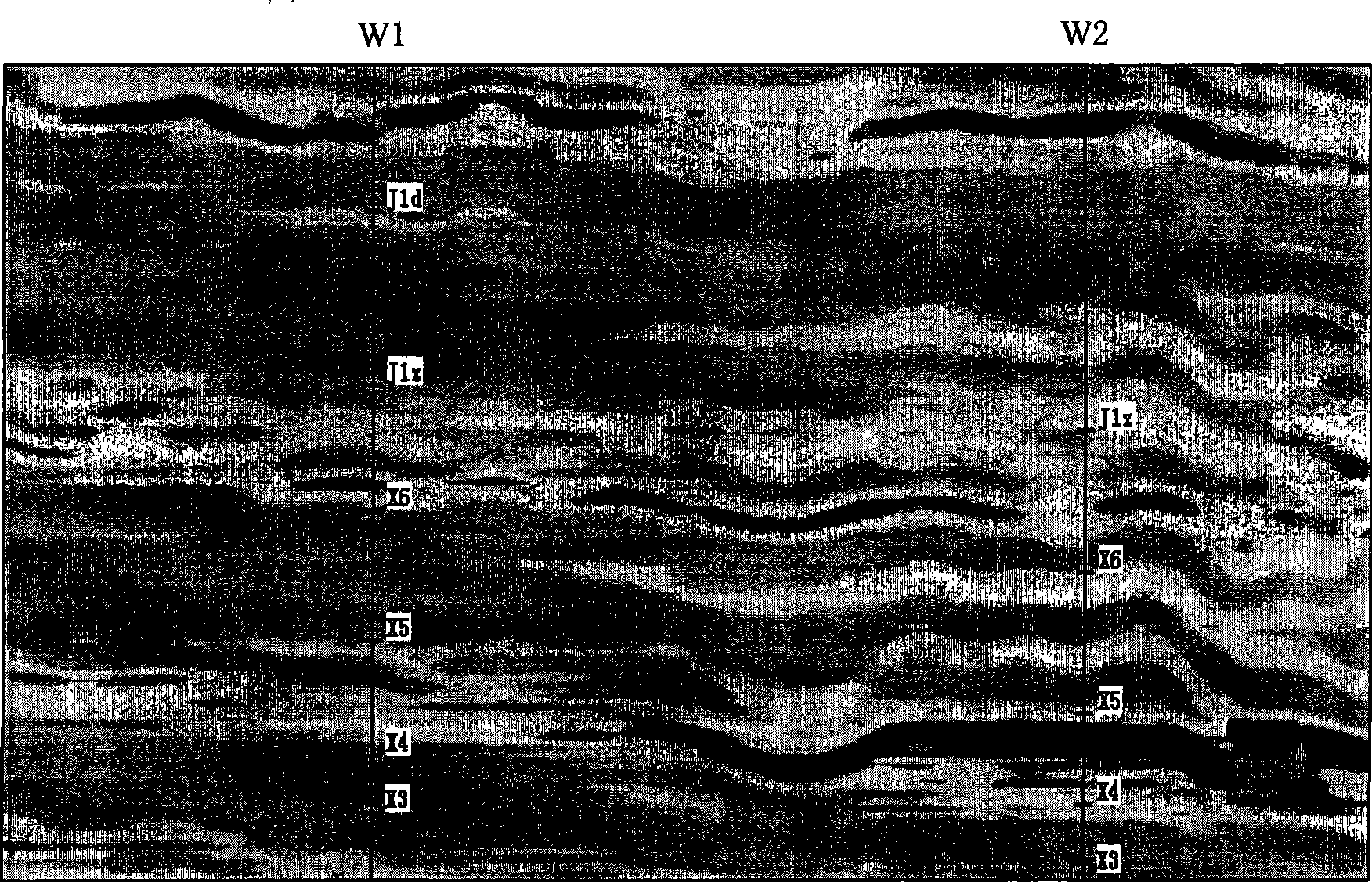 Method for determining underground fluid by seismic data