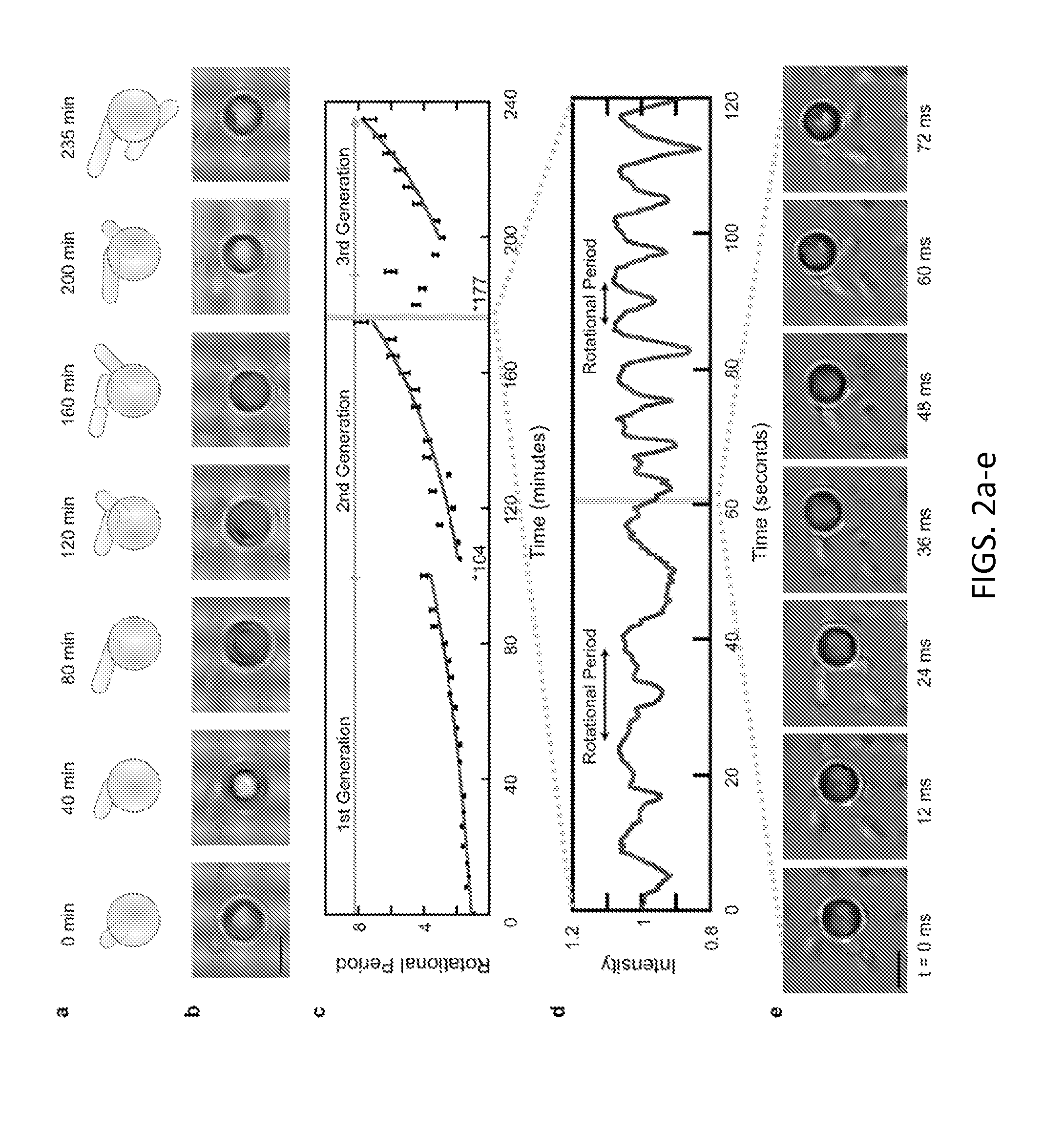 Asynchronous Magnetic Bead Rotation Sensing Systems and Methods