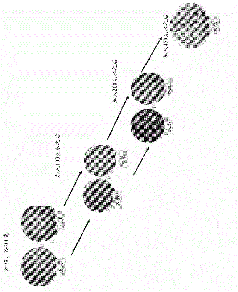 A food product comprising a low temperature rice protein concentrate