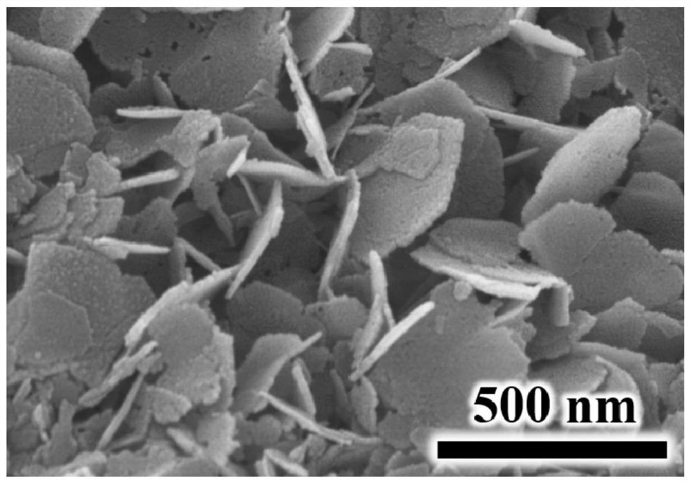 Heterojunction nano material and preparation and application thereof