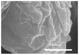 Method for efficiently preparing graphene nanosheet material dispersed in natural polysaccharides