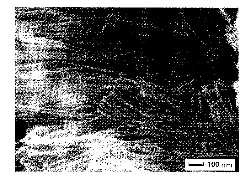 Molybdenum disulfide nano tube and preparation method thereof