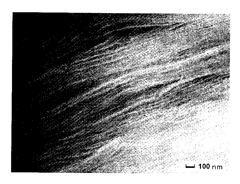 Molybdenum disulfide nano tube and preparation method thereof