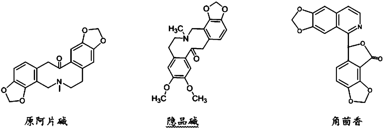 Application of pharmaceutical composition in preparing antibacterial drugs