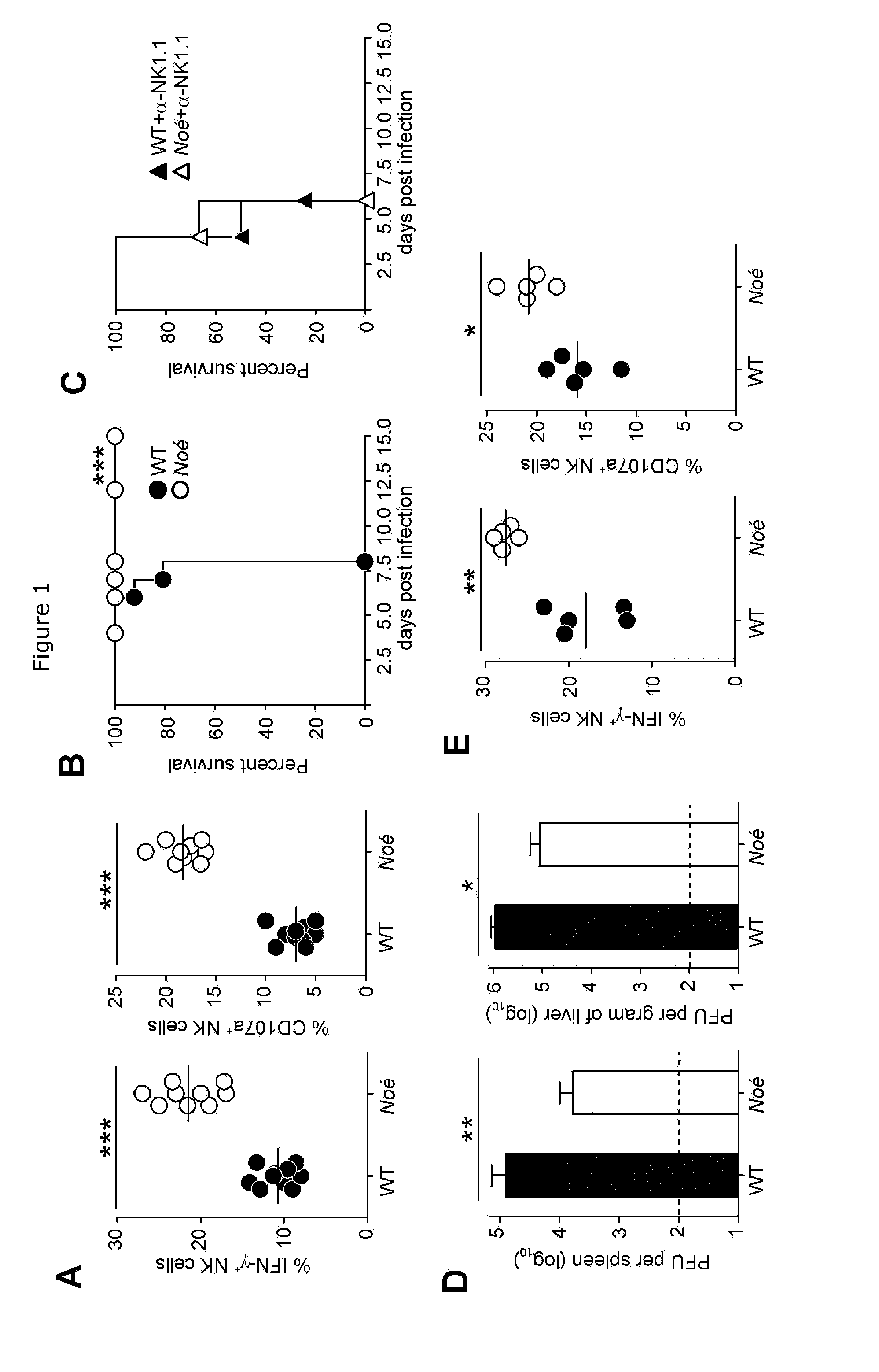 Nkp46-mediated nk cell tuning