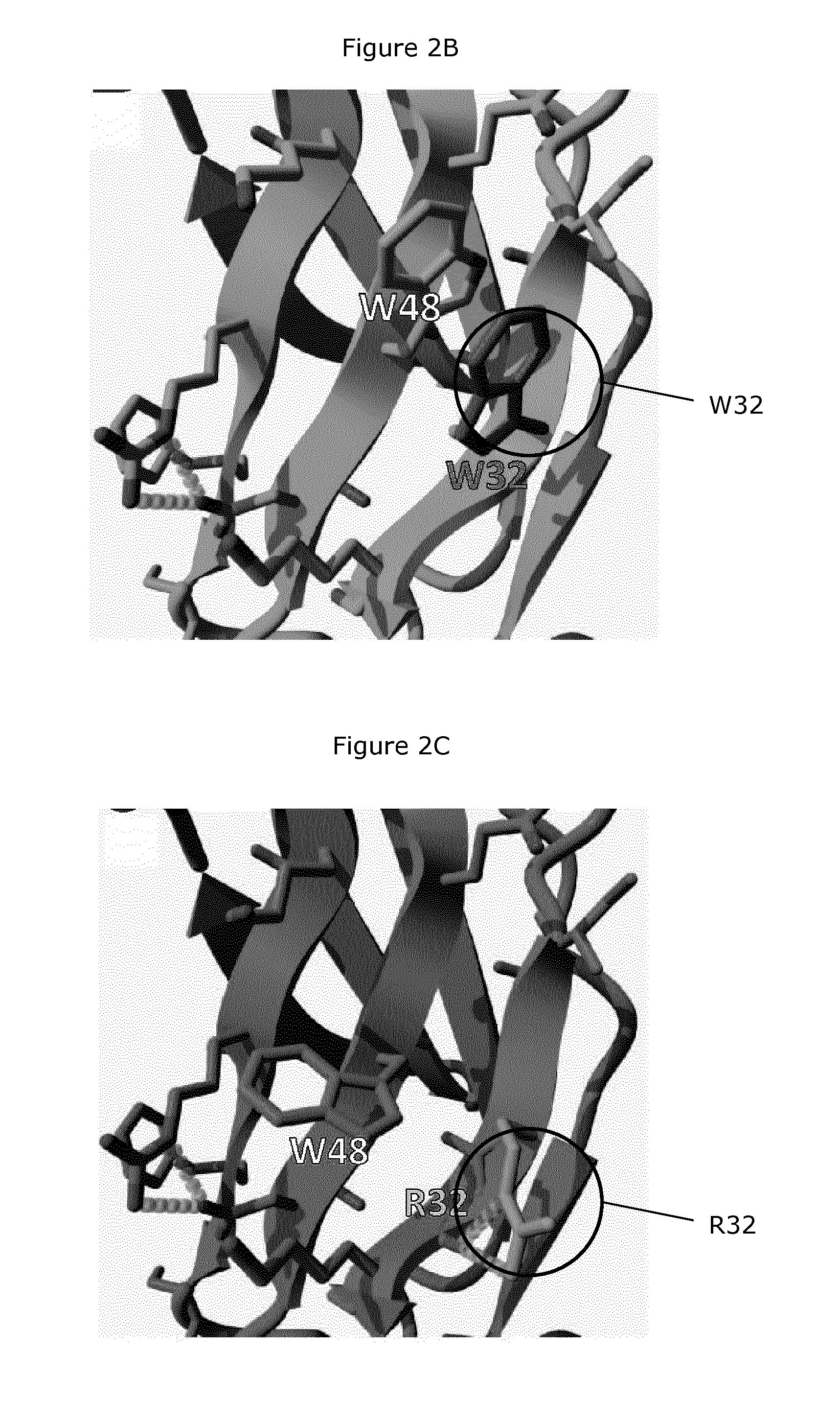 Nkp46-mediated nk cell tuning