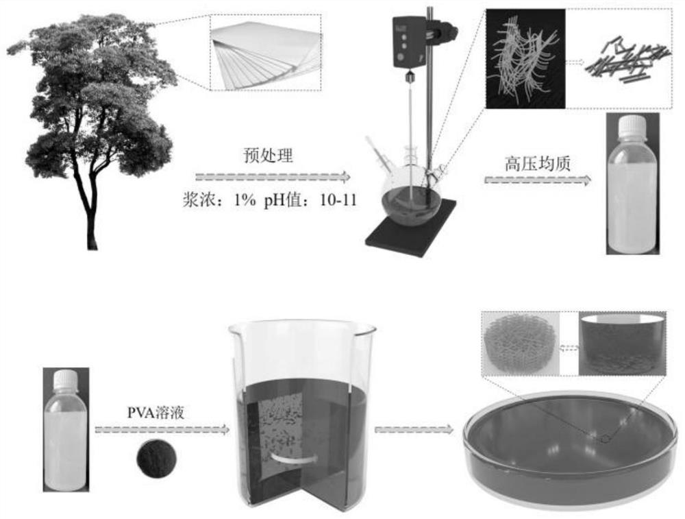 Preparation method of nano-cellulose ammonia gas induction aerogel