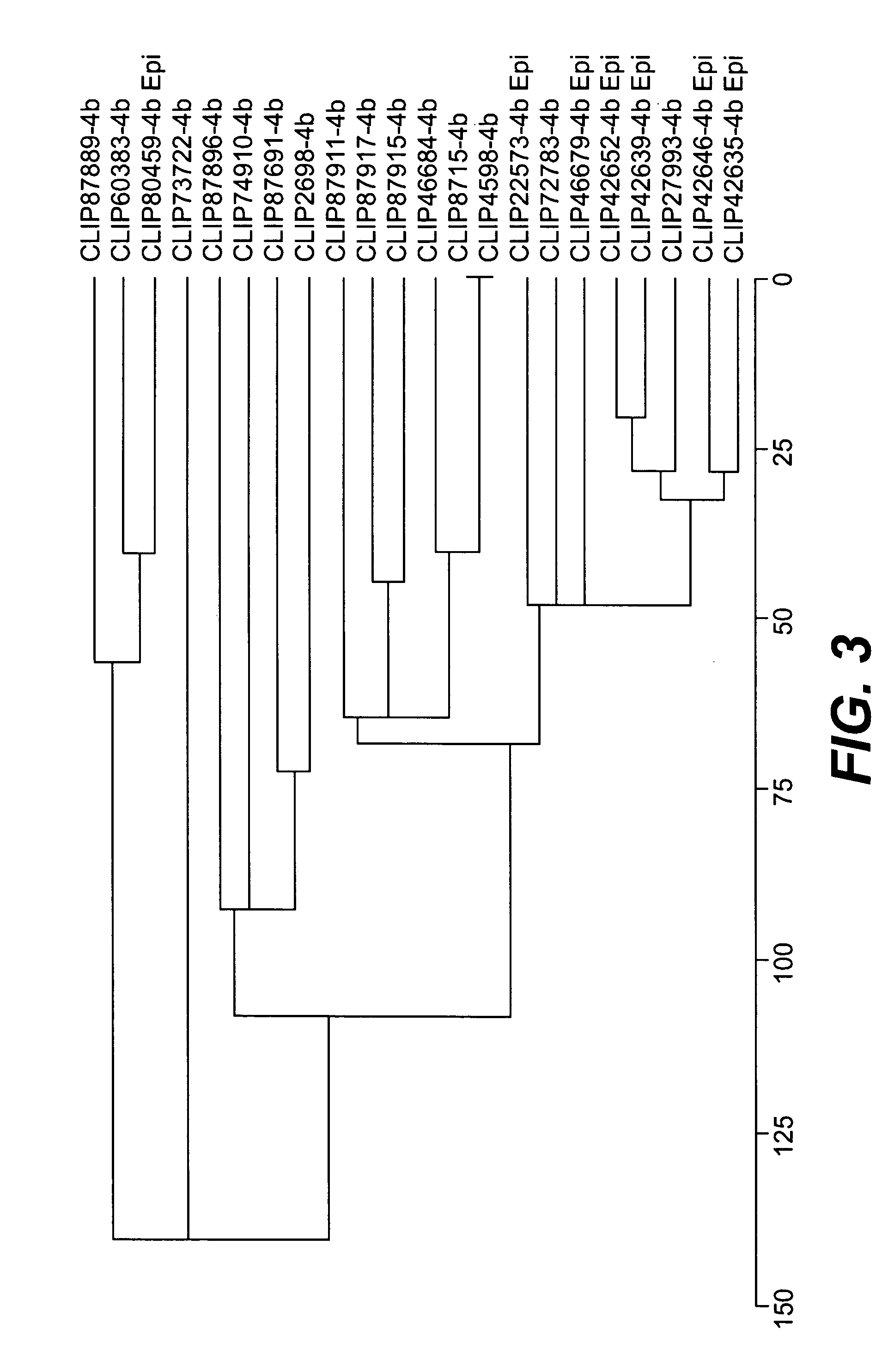 Molecular typing of listeria monocytogenes, hybridization supports and kits for said molecular typing