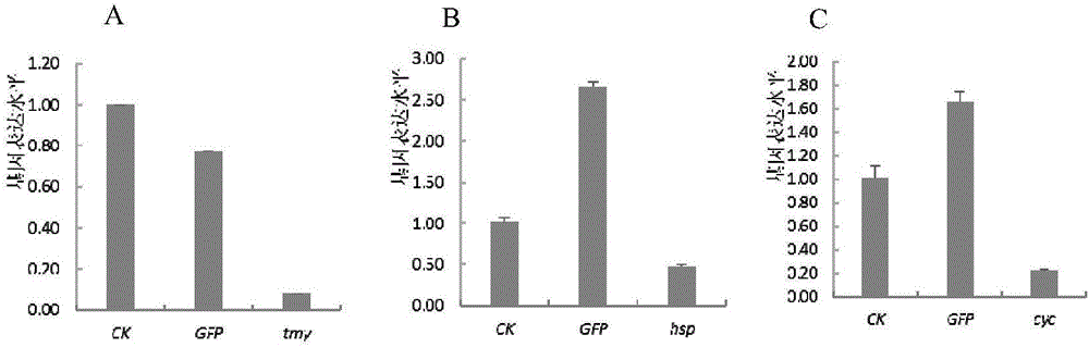 Whole-set reagent and method for inhibiting gene expression of pine wood nematode