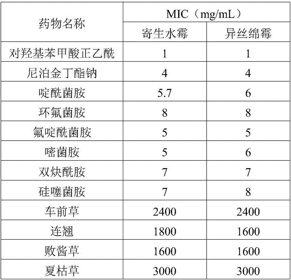 Preparation for preventing and treating roe saprolegniasis, and application thereof