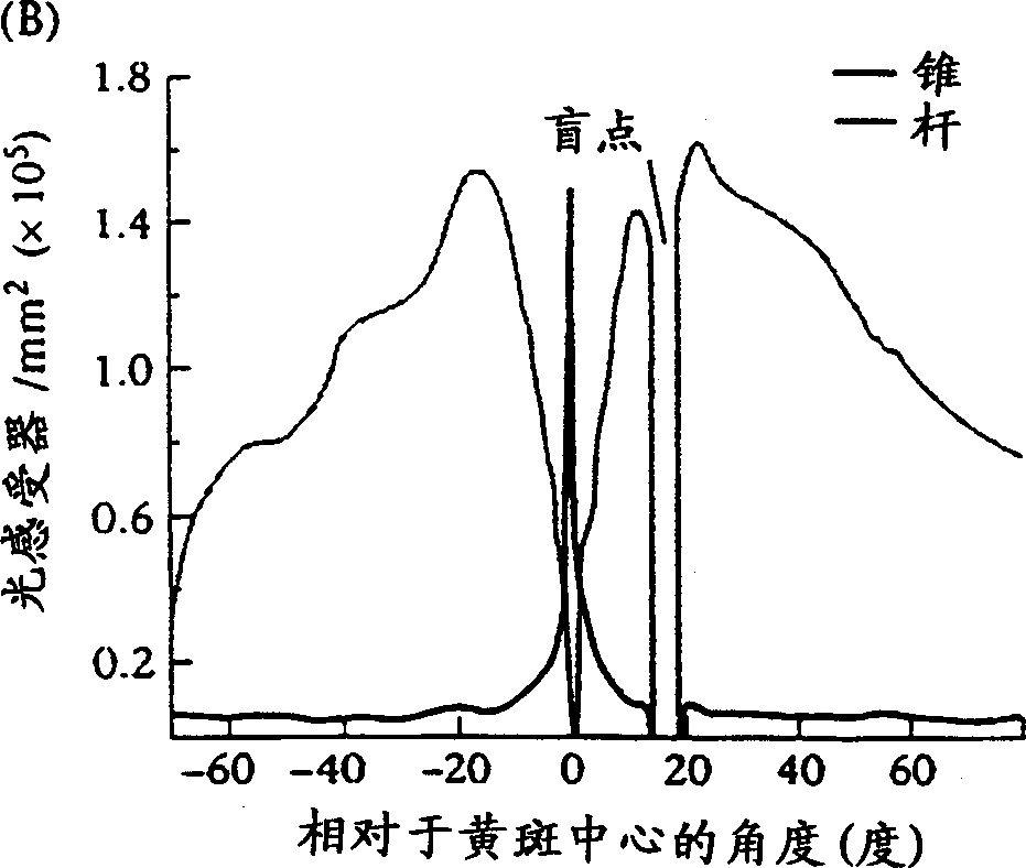 Anti-reflection coatings and coated articles