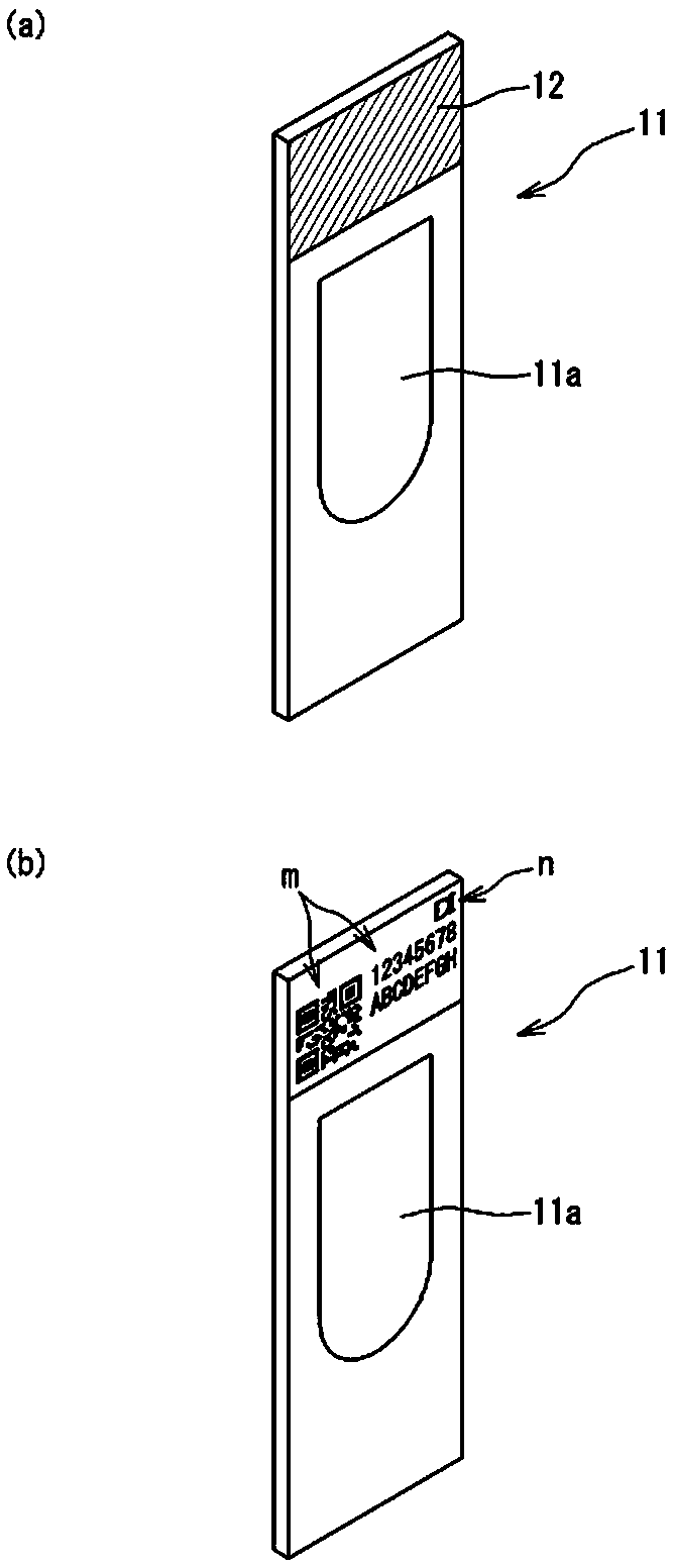 Smear transporting apparatus, smear image capture system, and smear analysis system