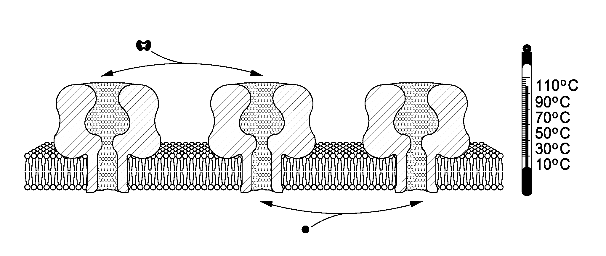 High temperature ion channels and pores