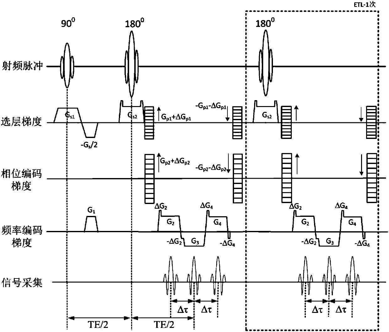 Synchronous acquisition and calibration method for three-dimensional multi-parameter weighted magnetic resonance imaging