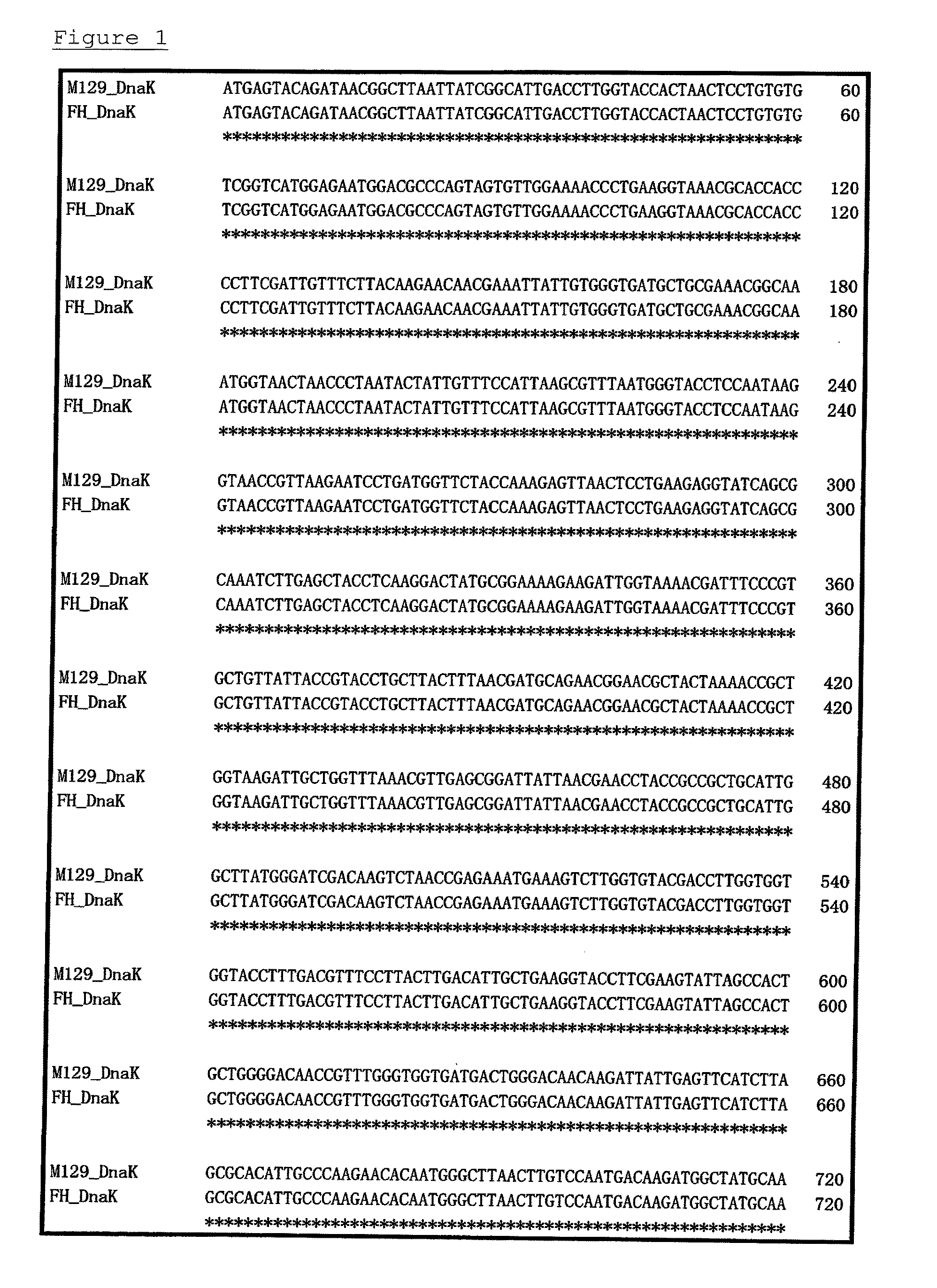 Method for detecting microorganisms belonging to mycoplasma pneumoniae and/or mycoplasma genitalium