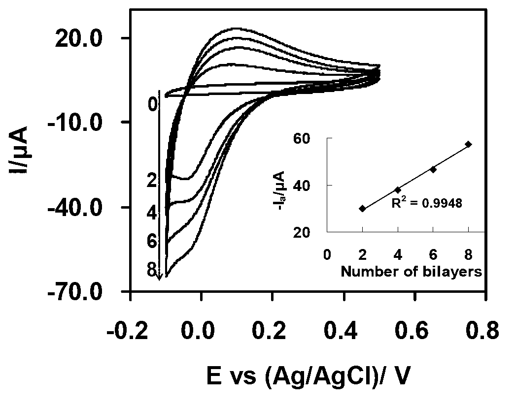 Preparation method of polyaniline/precious metal nanometer composite material modified electrode