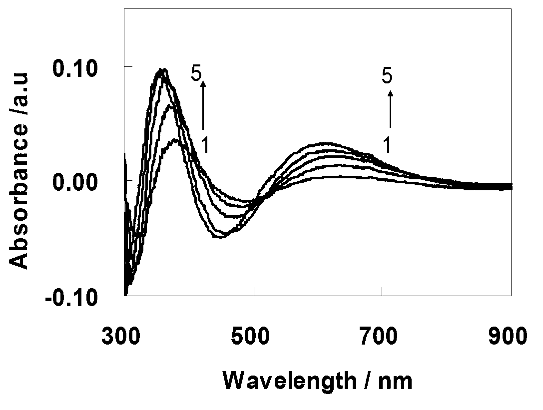 Preparation method of polyaniline/precious metal nanometer composite material modified electrode