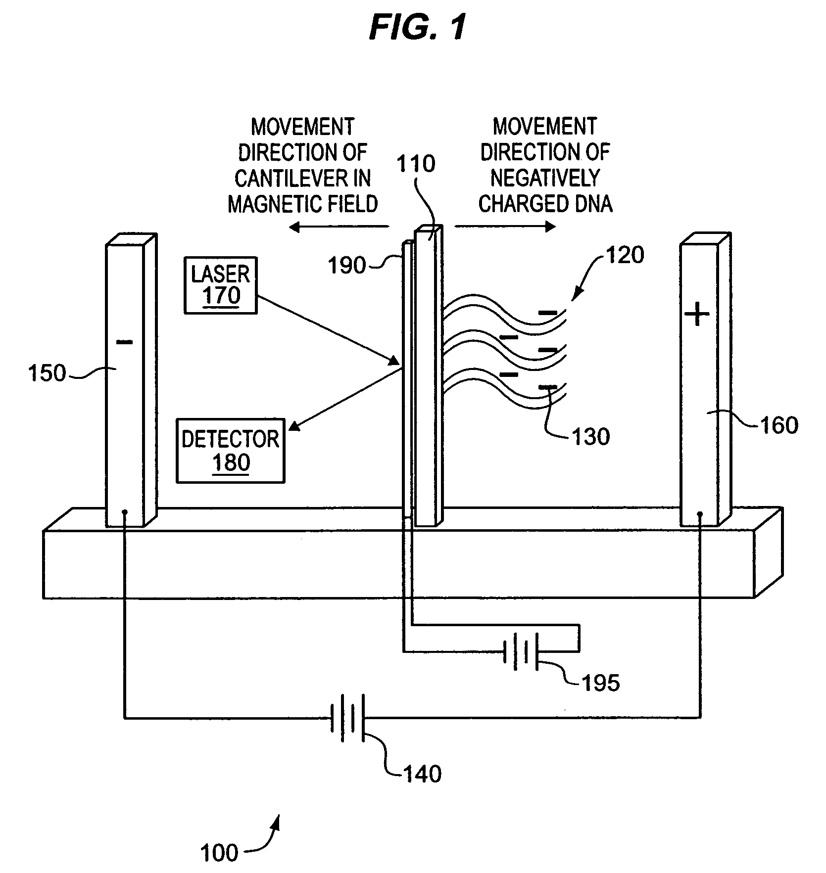 Detecting molecular binding by monitoring feedback controlled cantilever deflections