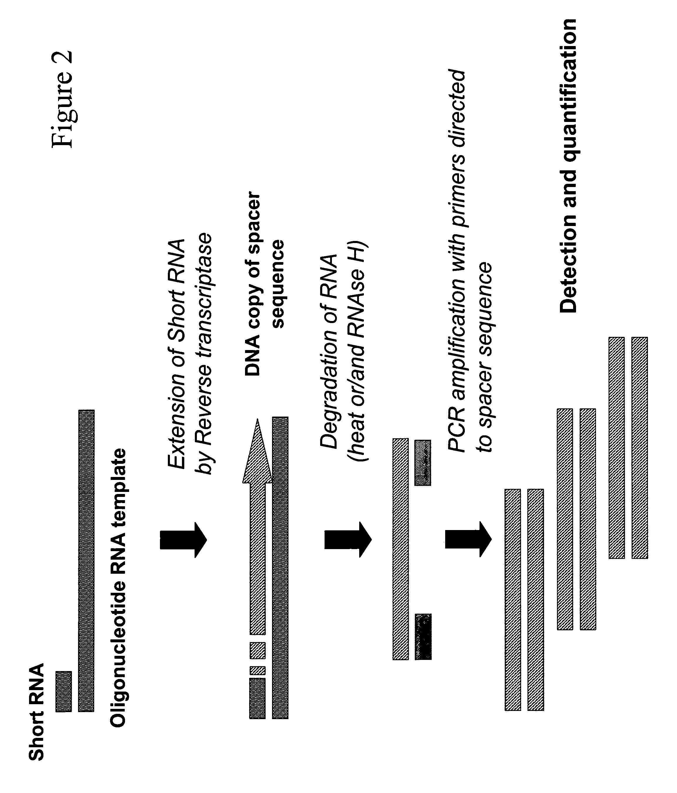 Method for quantitative detection of short RNA molecules