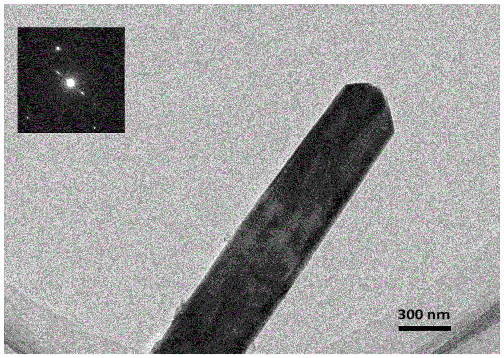 A kind of preparation method of sea urchin-shaped rutile nano-titanium oxide