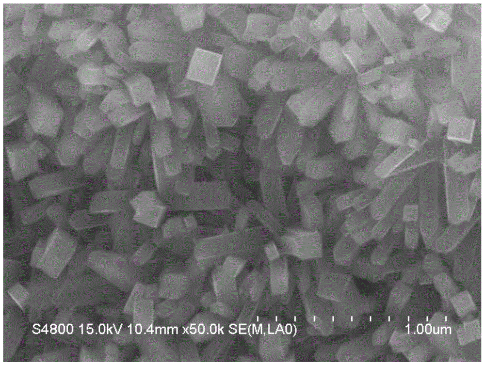 A kind of preparation method of sea urchin-shaped rutile nano-titanium oxide