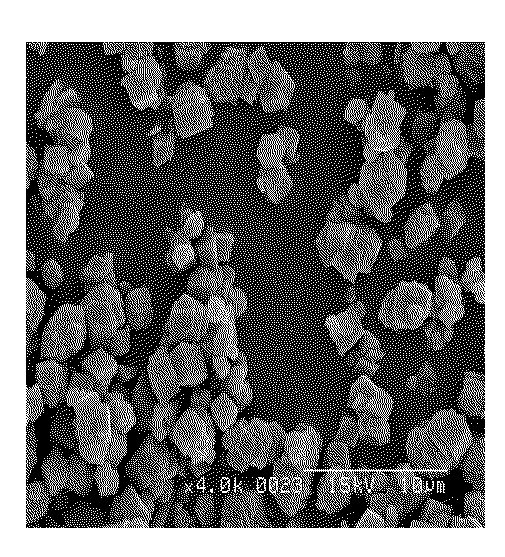 Calcium carbonate having a surface charge, the preparing process thereof and filler for producing a paper using the same