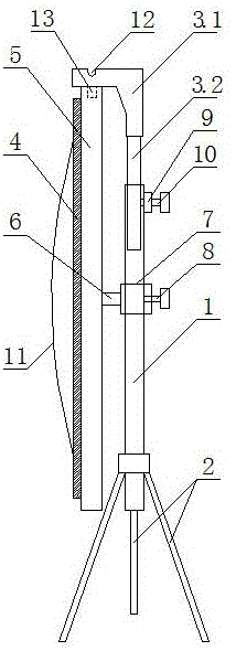 Portable projection curtain support