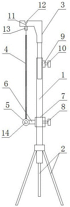 Portable projection curtain support