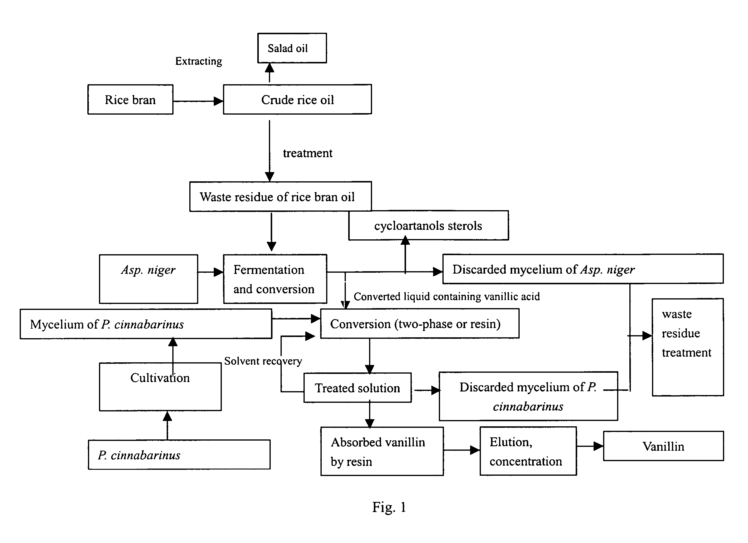 Method for the producing vanillic acid and vanillin from waste residue of rice bran oil by fermentation and biotransformation