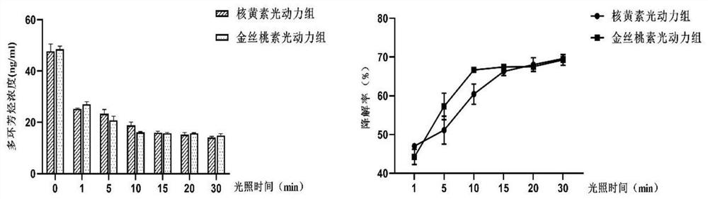 Photodynamic degradation method of polycyclic aromatic hydrocarbon wastewater